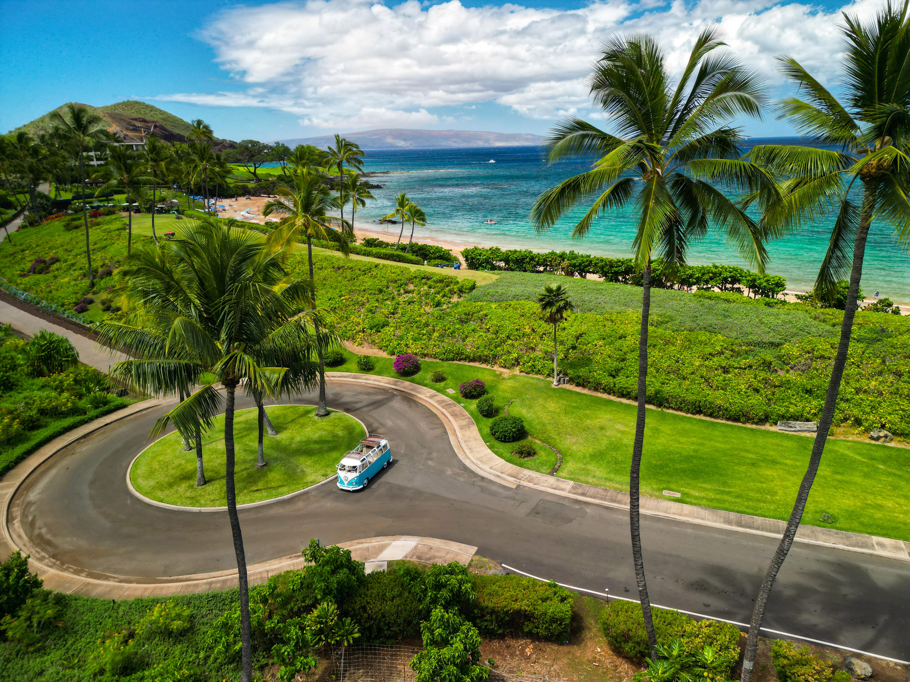 Vintage VW bus parked along a coastal road on Maui with ocean and palm trees